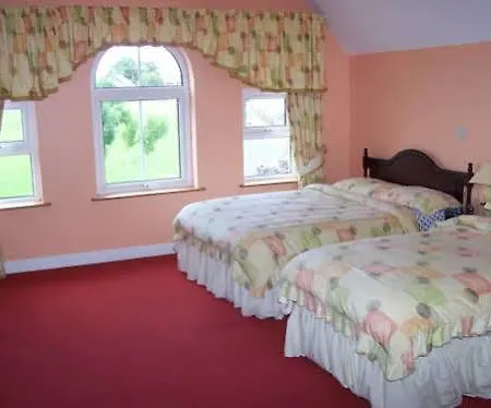 Colonelwood House Konukevi Westport