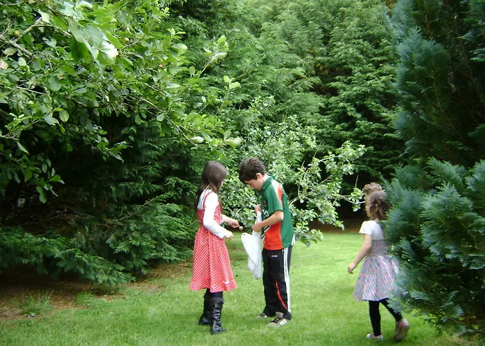 Pensjonat Colonelwood House